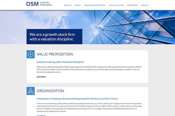 DSM Capital Partners