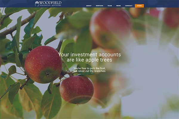 Woodfield Financial Advisors
